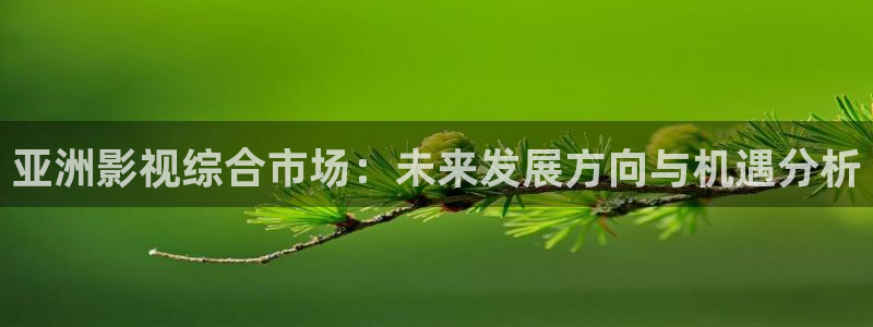 手机神马午夜电影：亚洲影视综合市场：未来发展方向与机遇分析