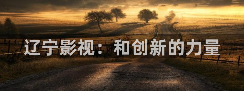 92午夜影院福利合：辽宁影视：和创新的力量